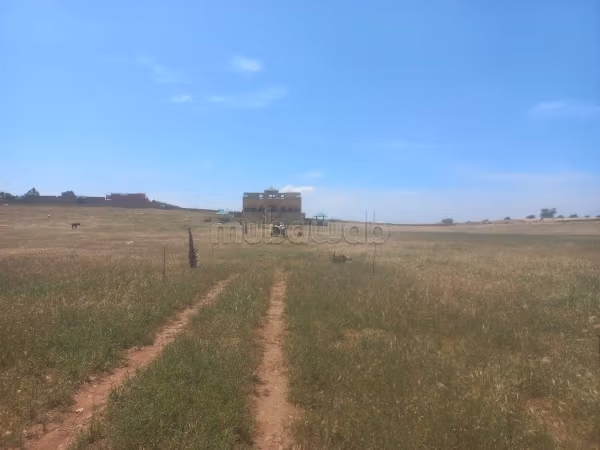 Beau terrain à la vente à coté de Safi 
Superficie 10000 m²
