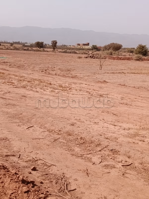 Terrain título a 35km de Agadir