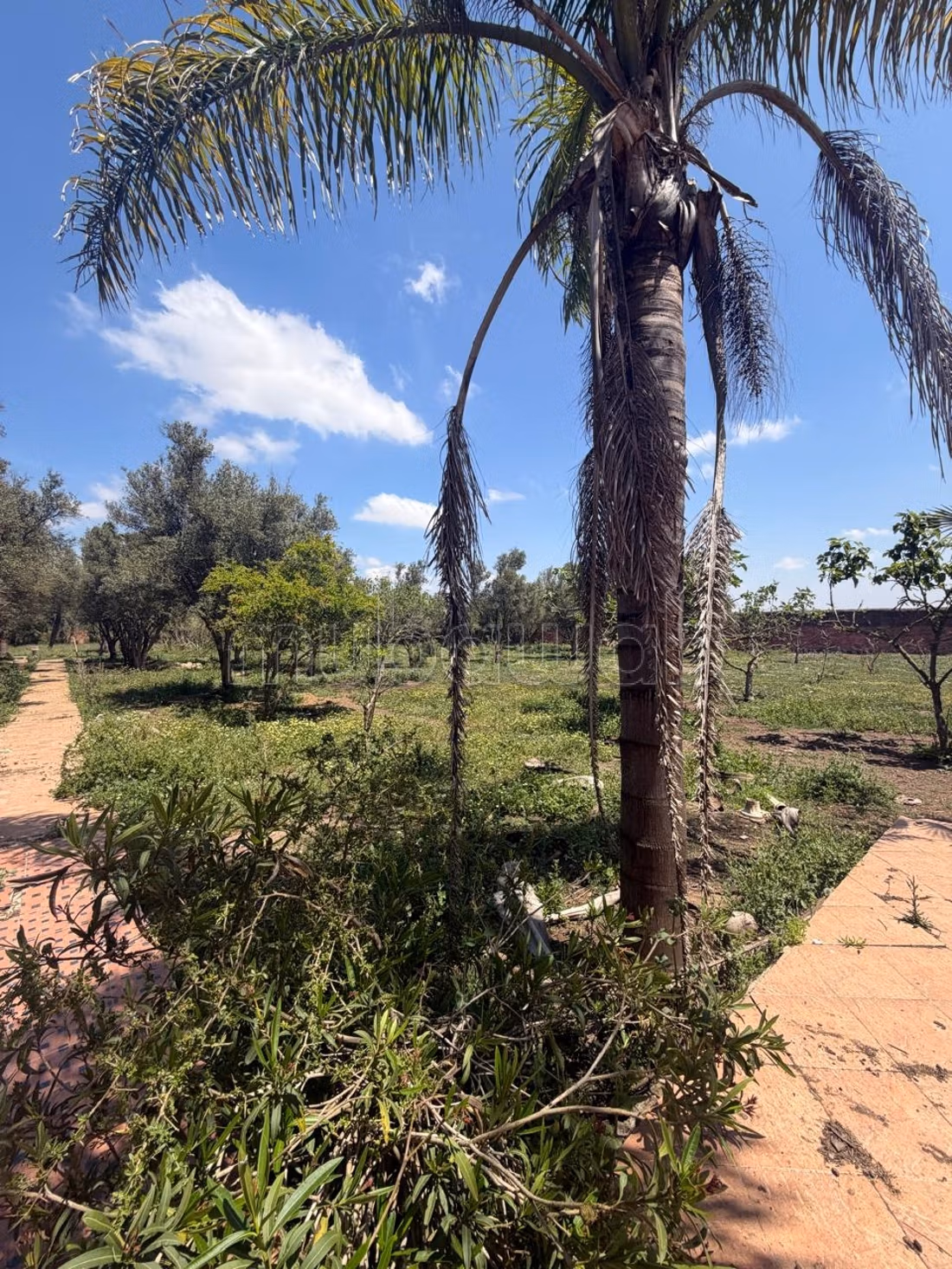Finca en venta Casablanca