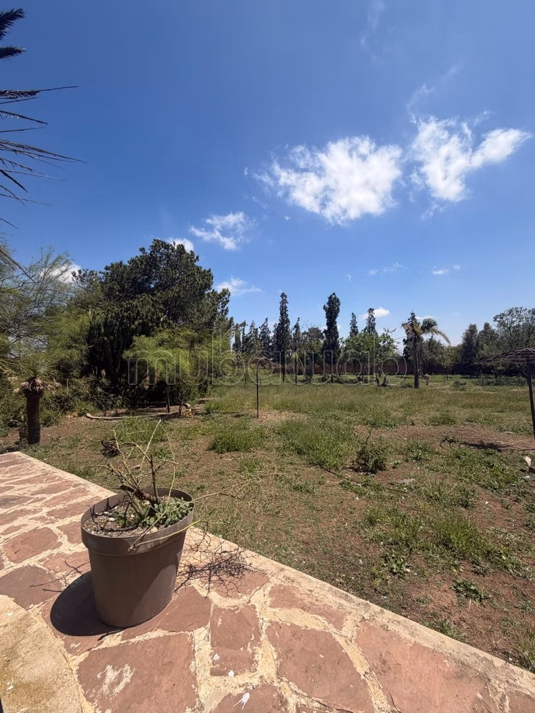 Finca en venta Casablanca