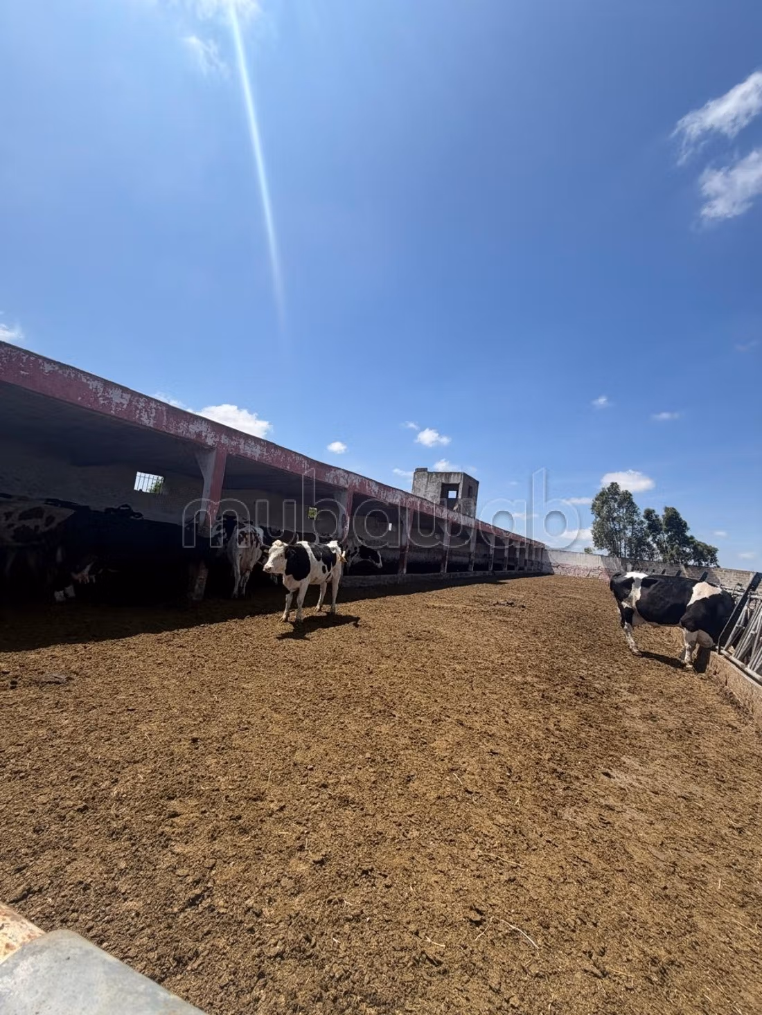 Finca en venta Casablanca