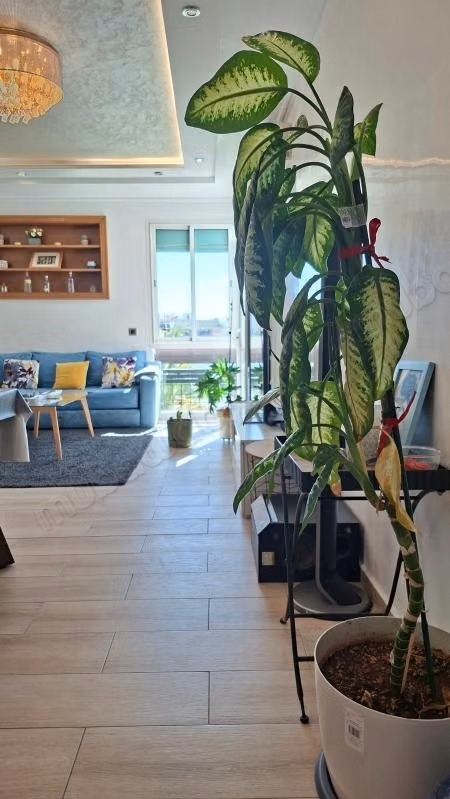 Furnished apartment in Clos des Pins