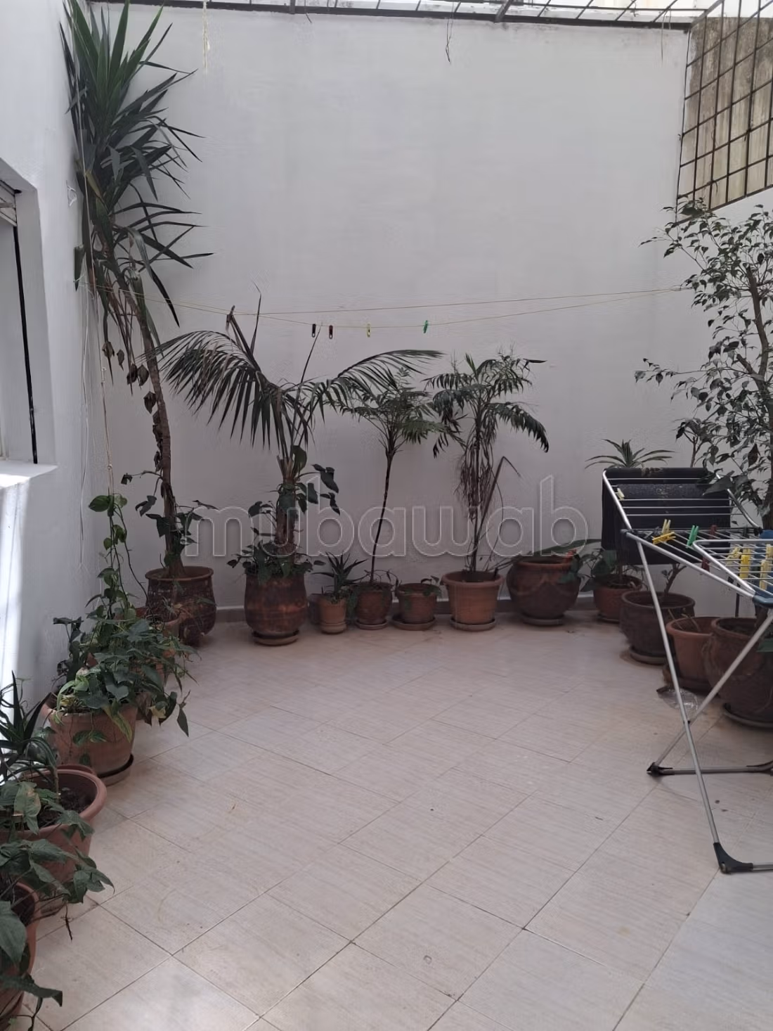 Appartement 121 m² à Mesnana — 7