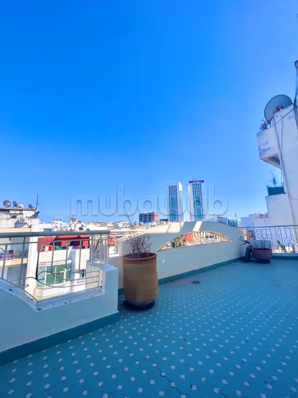 Gauthier 1 ch Zonachtig appartement met Enorme Terras