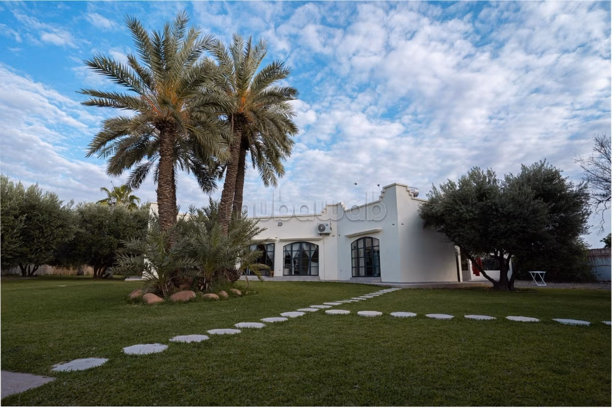 Charming Olive Domain for Sale or Rent