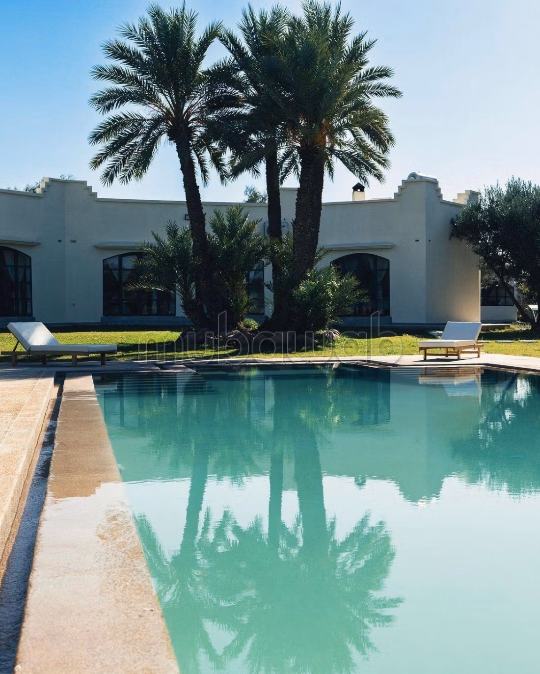 Charming Olive Domain for Sale or Rent