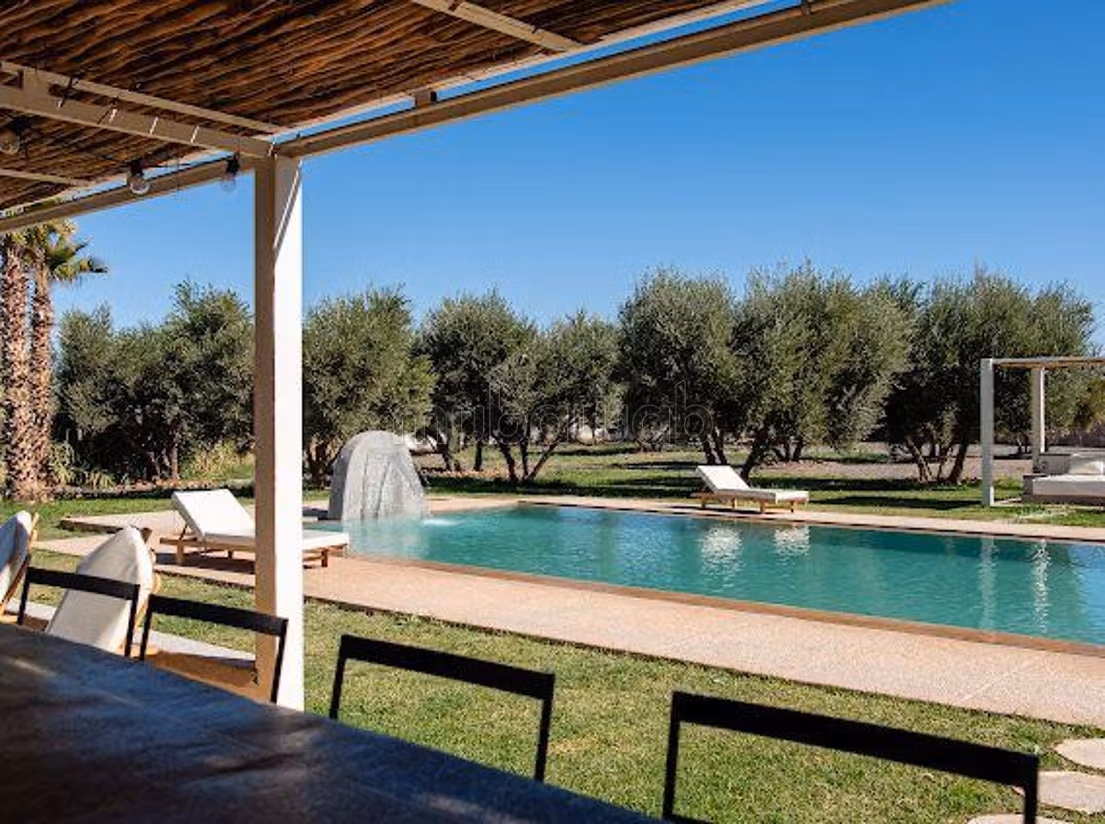 Charming Olive Domain for Sale or Rent