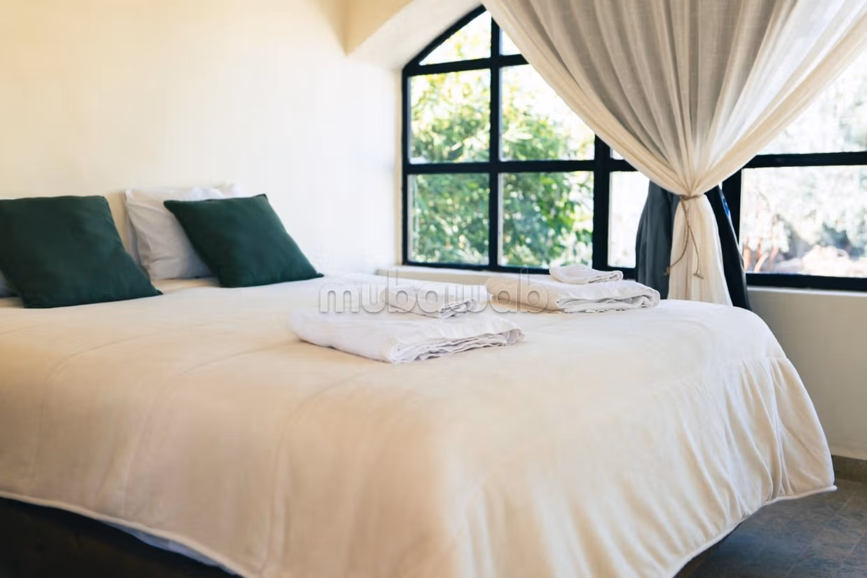 Charming Olive Domain for Sale or Rent