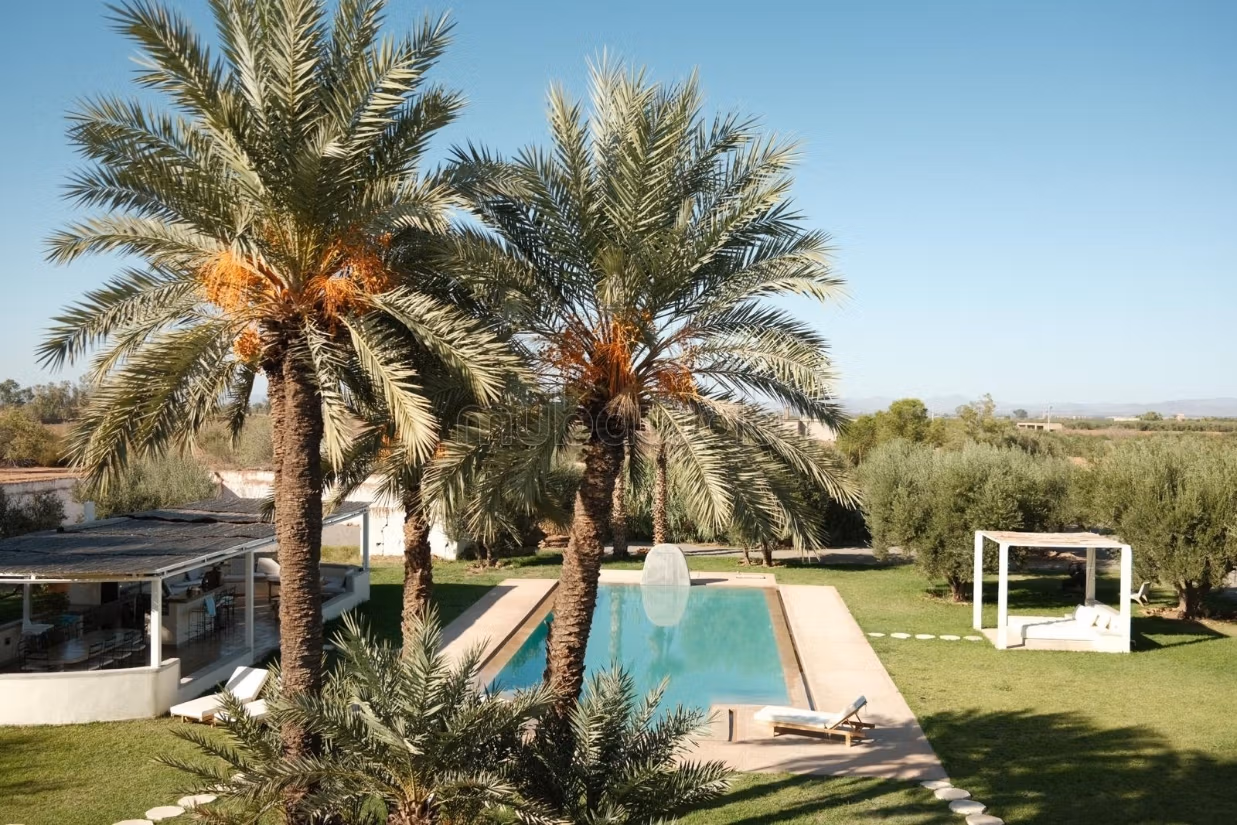 Charming Olive Domain for Sale or Rent