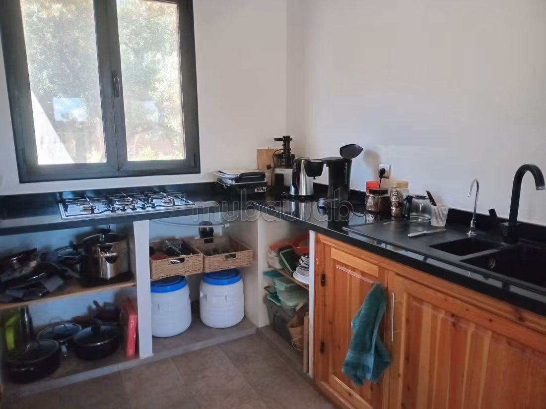 Charming Olive Domain for Sale or Rent