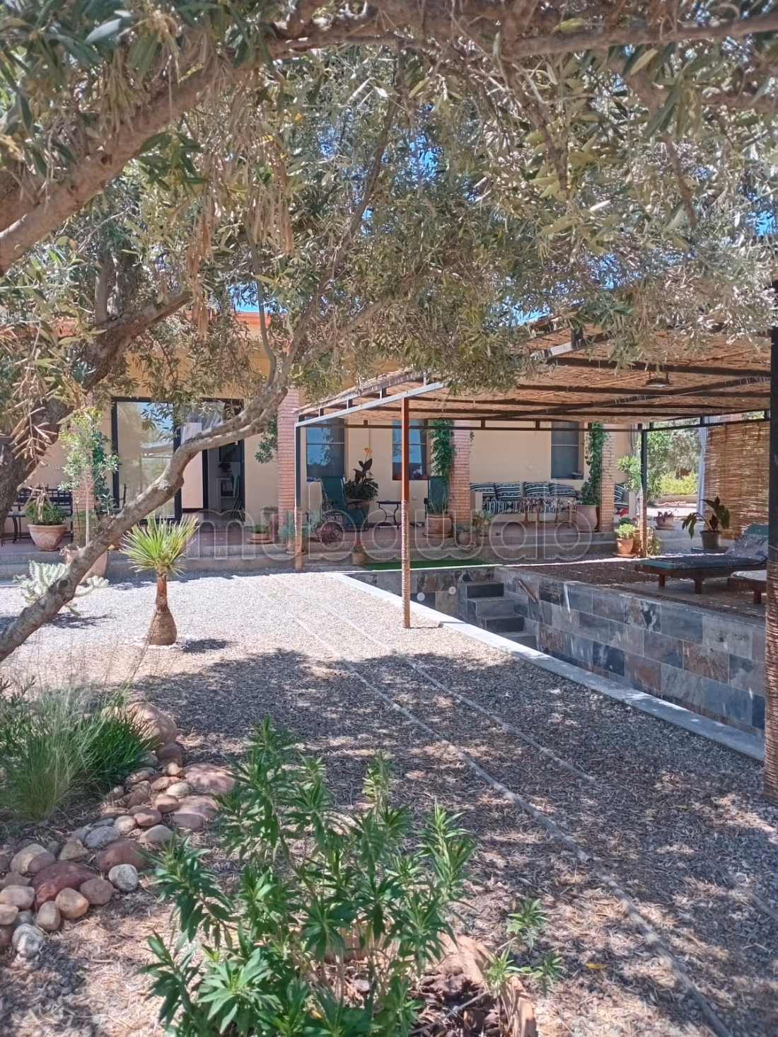 Charming Olive Domain for Sale or Rent