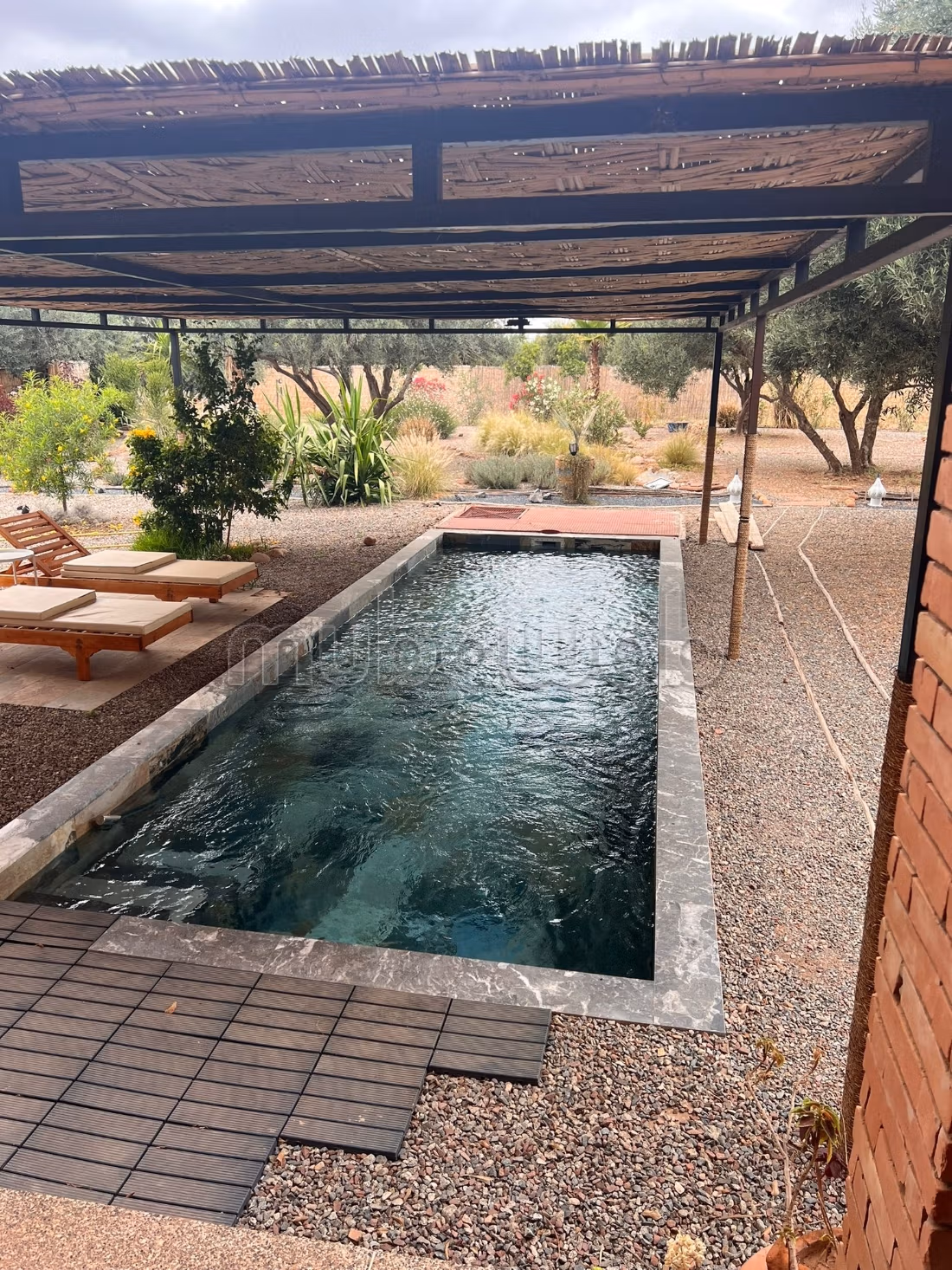 Charming Olive Domain for Sale or Rent