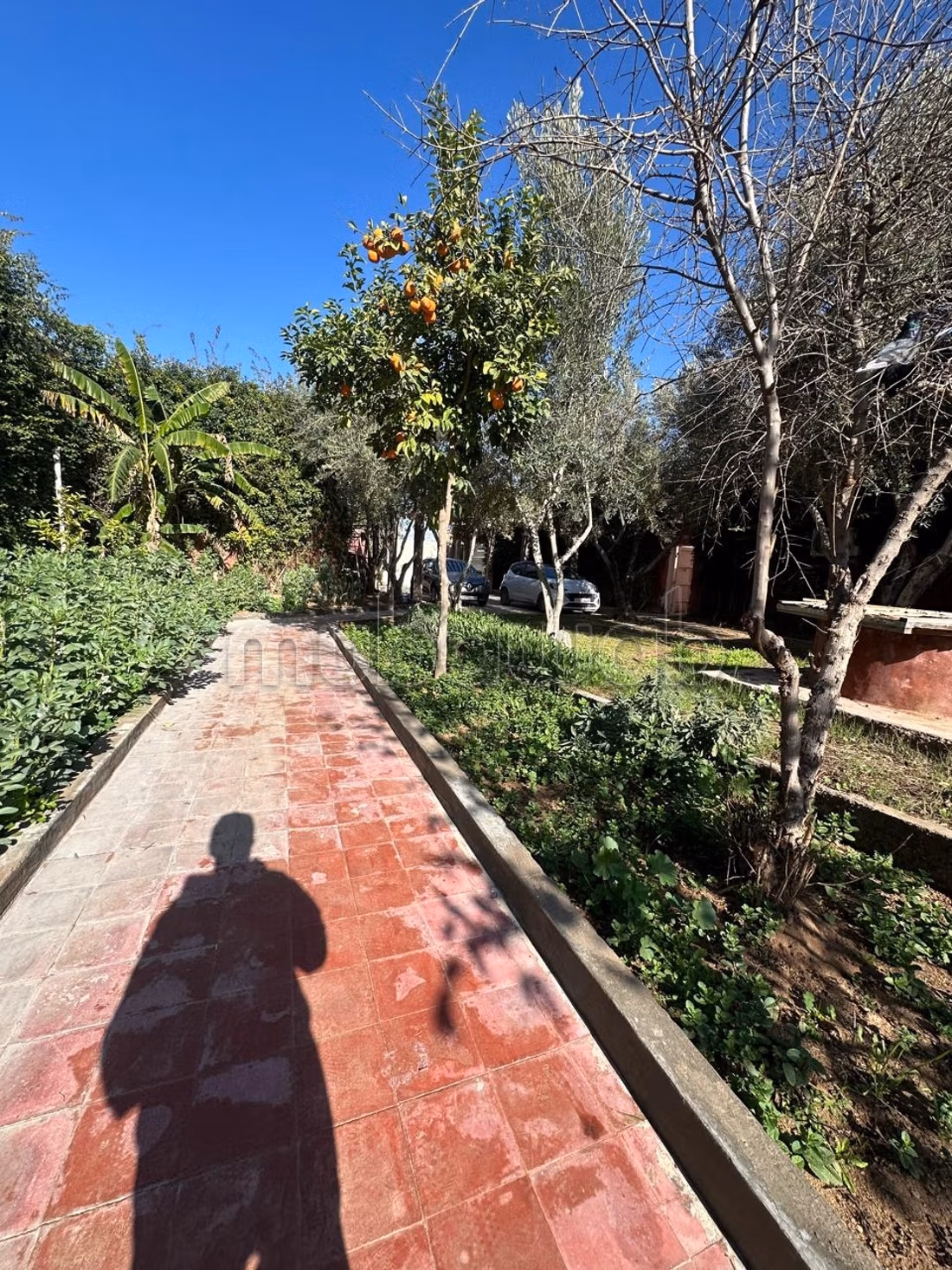 Very beautiful villa with a workshop on 3300 m² equipped