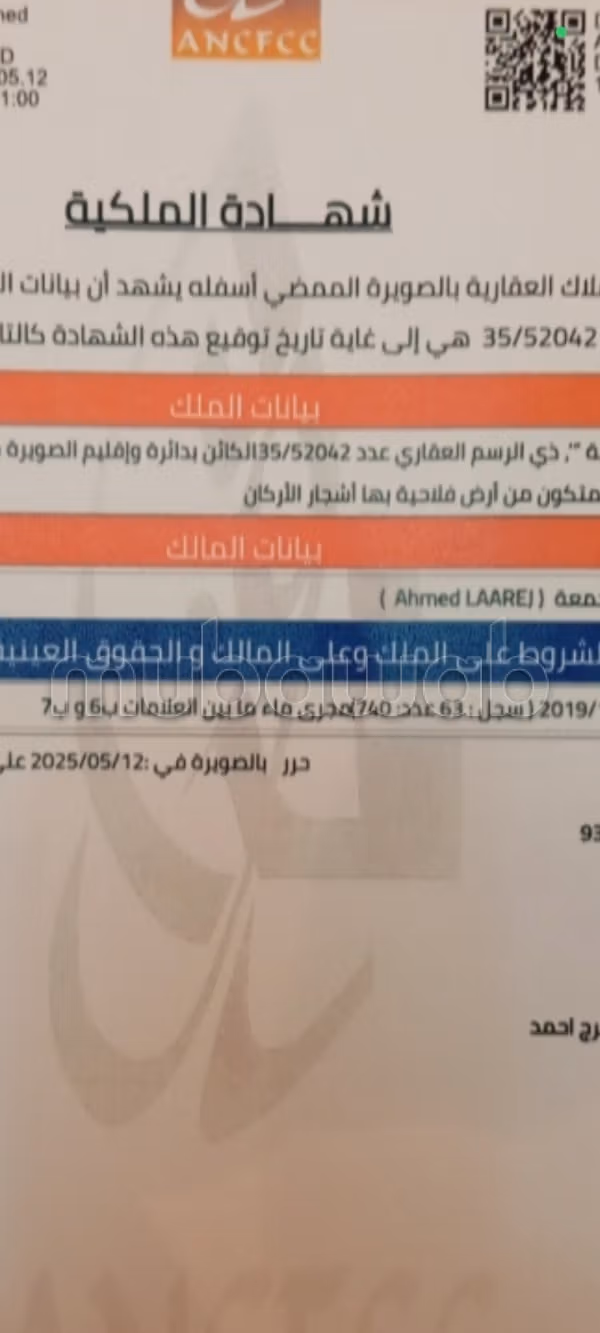Pongo a la venta un terreno de 1 hectárea 24 ares 25 centiáreas título en lahrarta región Essaouira sin intermediario