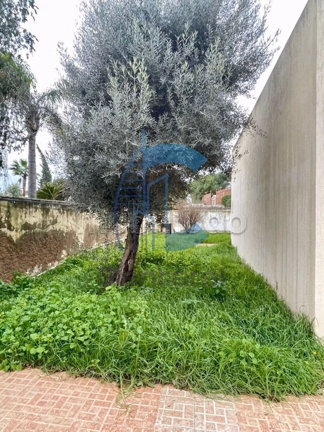 Verkoop villa Californië