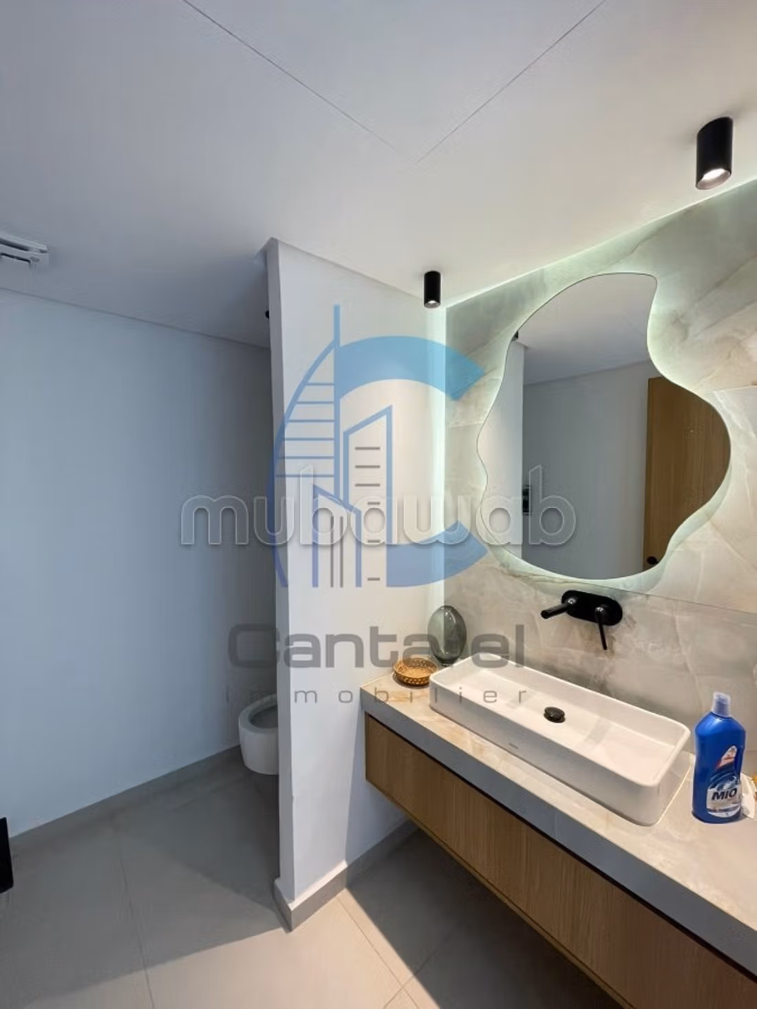 Location appartement palmier