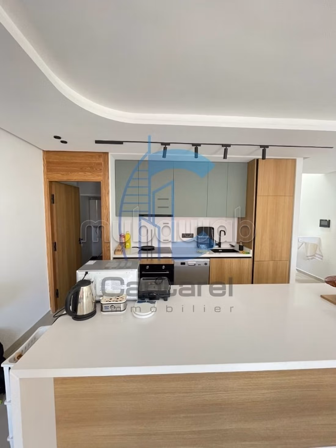 Location appartement palmier