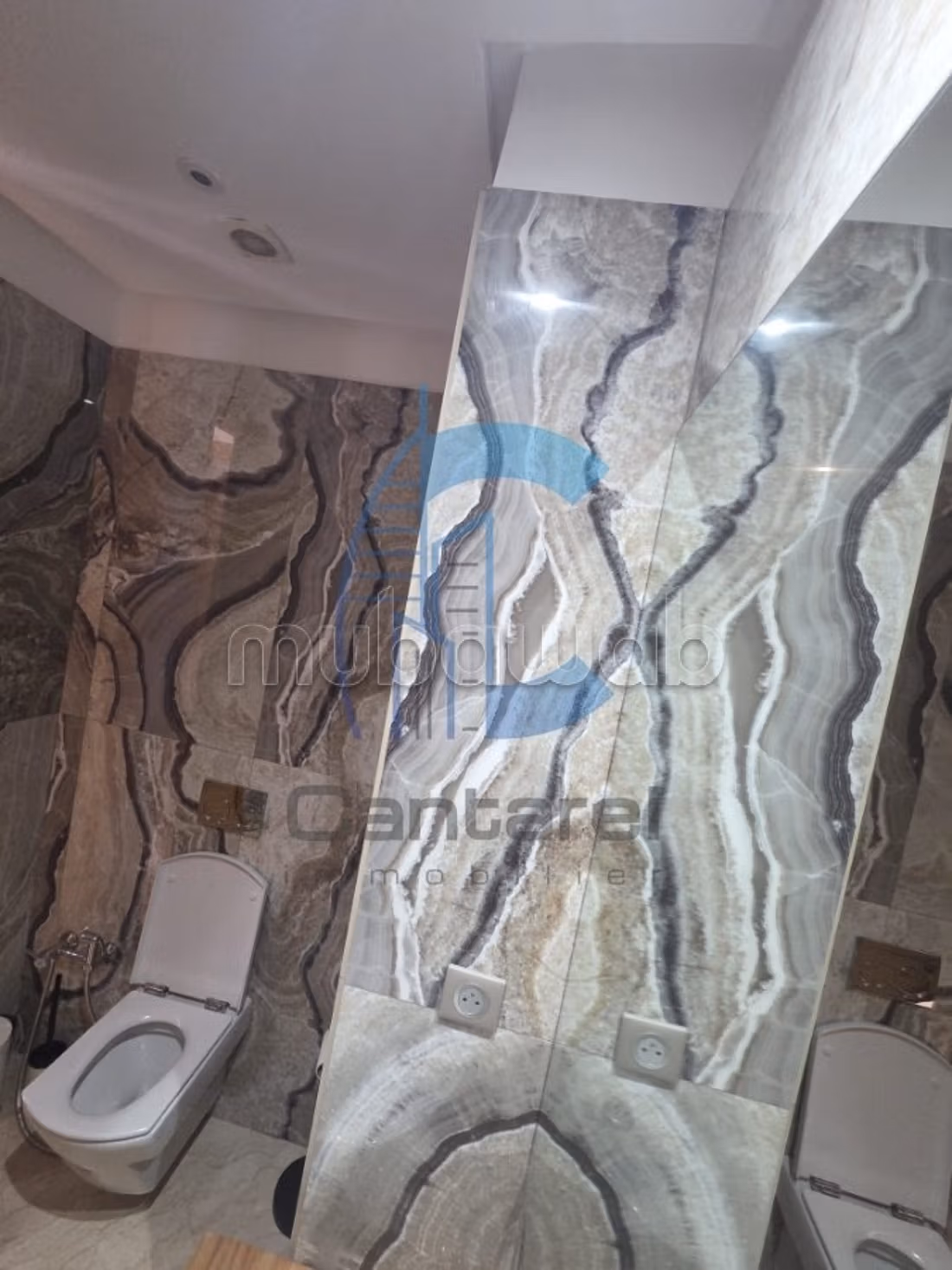 Vente appartement racine