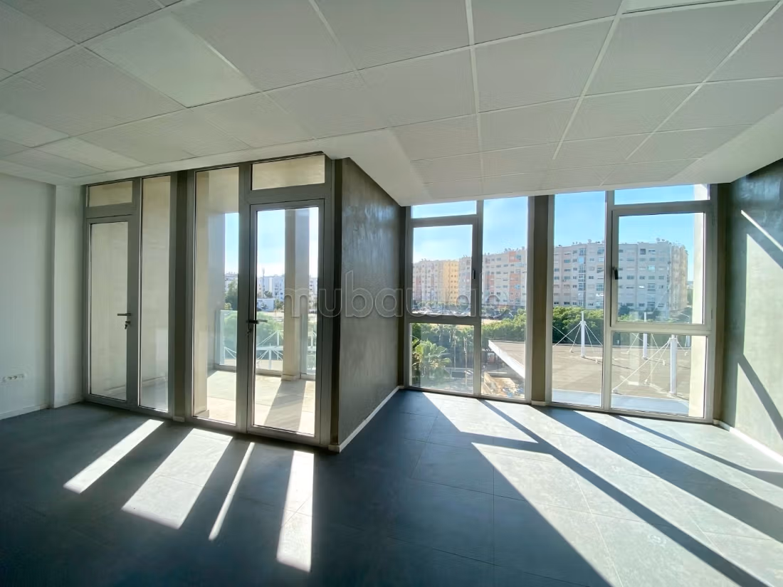 New office plateau 60m oasis