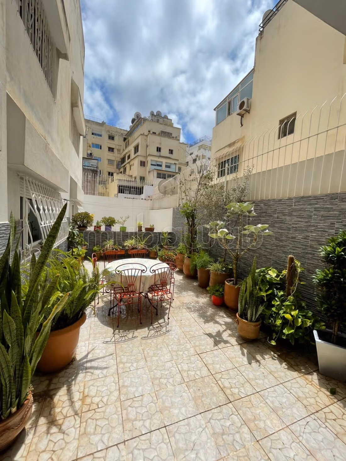 4 chambres de 300 m² à Palmier non meublé — 3