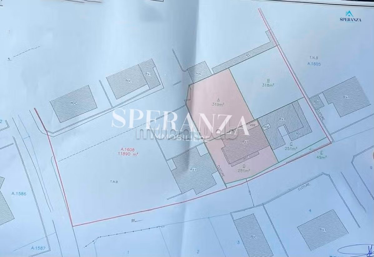 Vente Terrain Olivaire