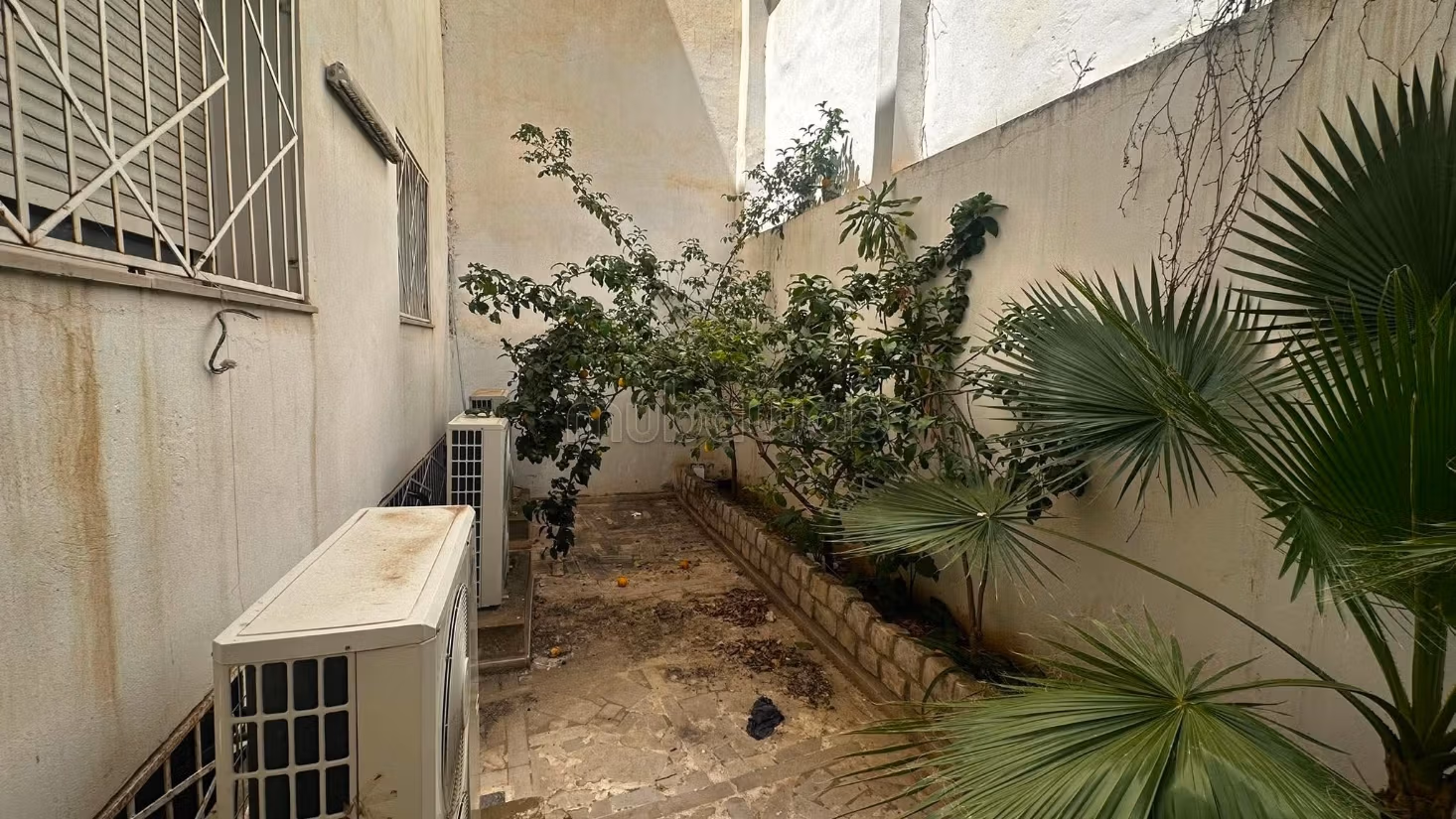 In Affitto: Edificio R4 di 831,45 m² a Montplaisir