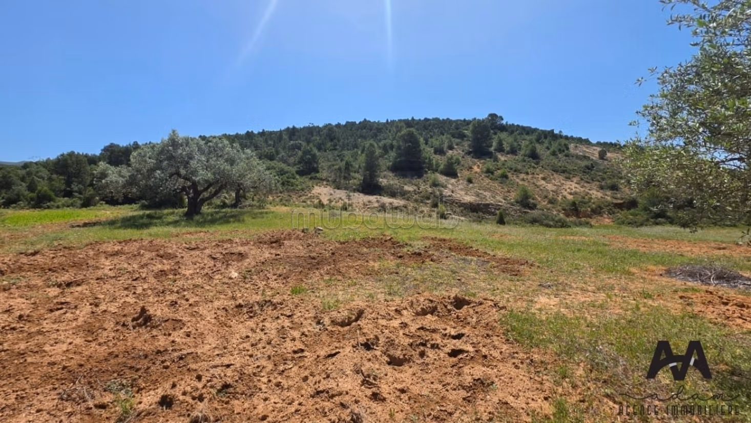 Terreno agricolo a Mornag