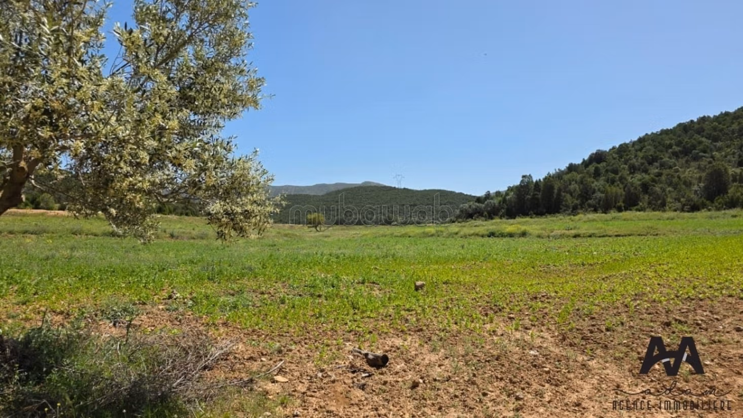 Terreno agricolo a Mornag