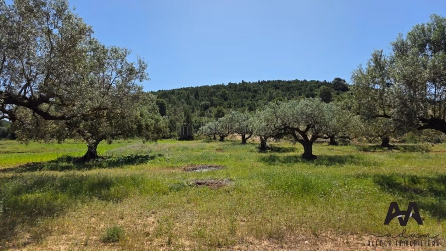 Terreno agricolo a Mornag