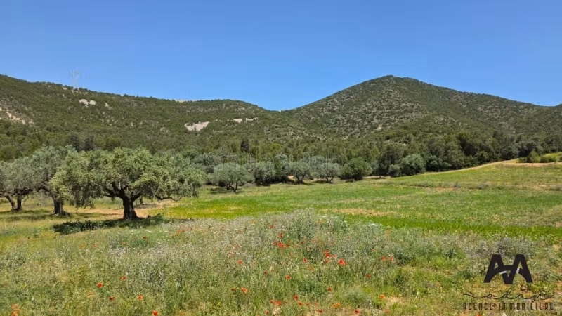 Terrain agricole de 10000 m² à Mornag