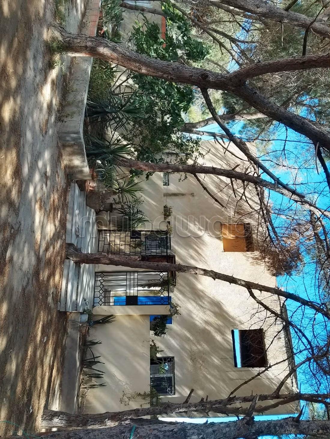 Maison avec studios indépendantes a carthage