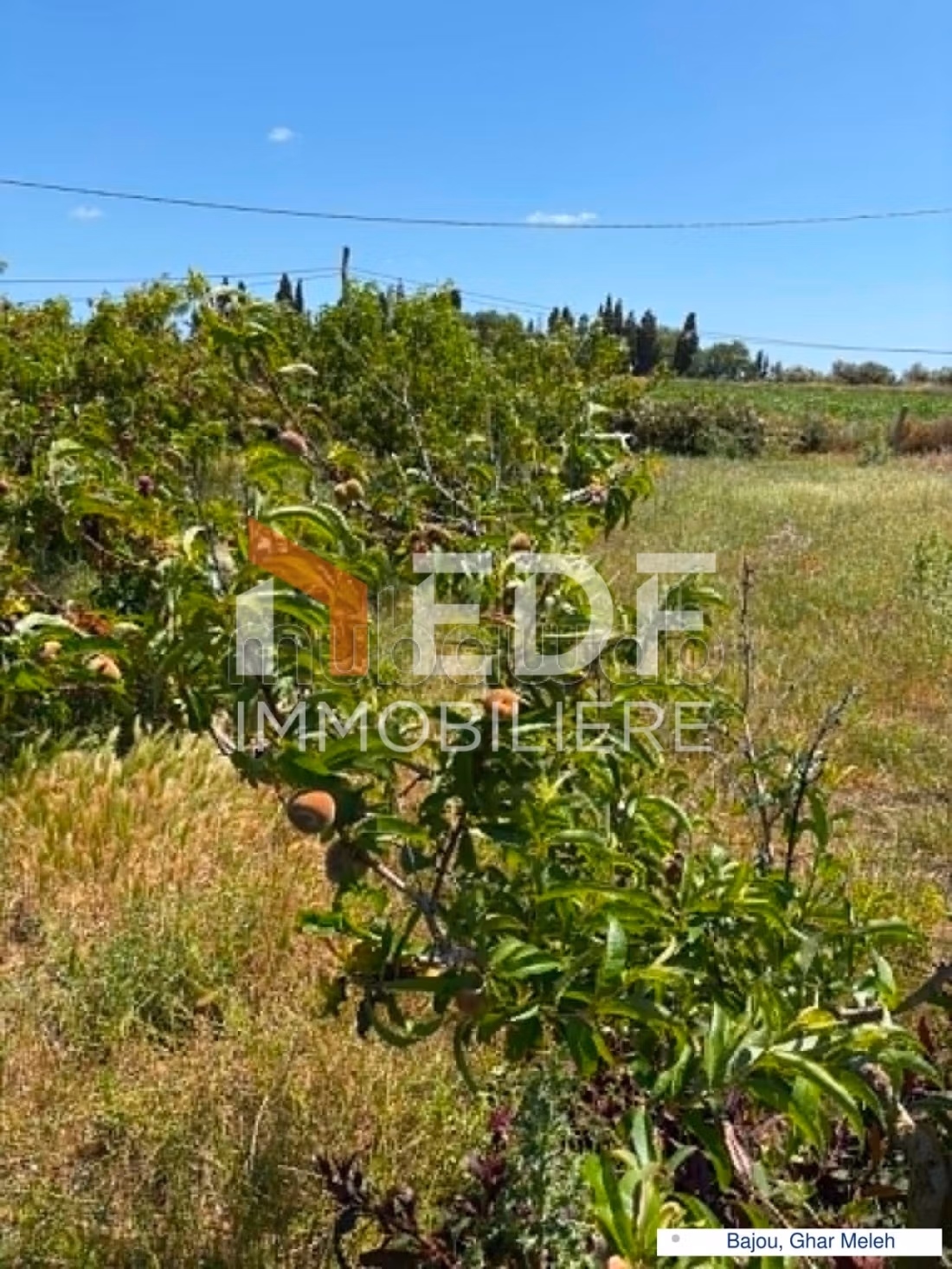 Land for sale in Bejou Ghar Meleh, Ref 3585