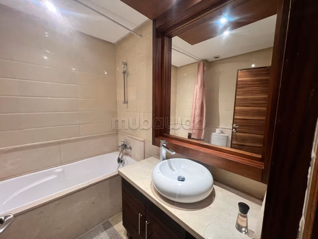 Magnificent furnished apartment for rent in Racine