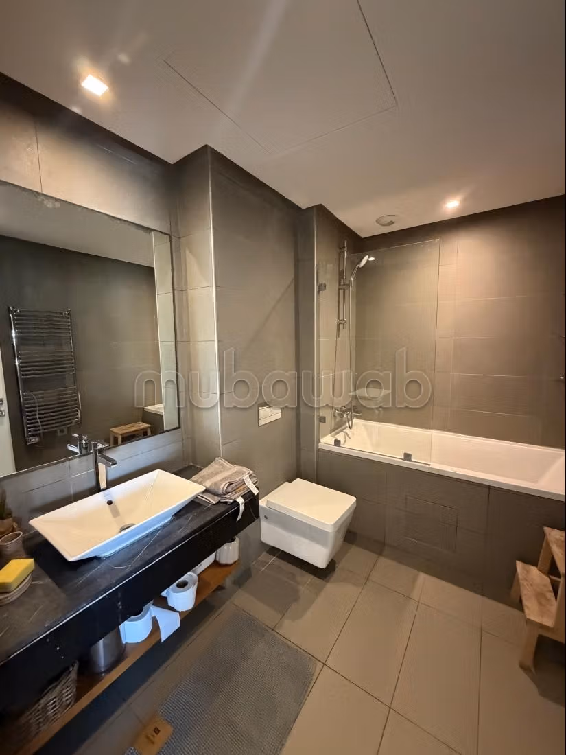 Luxueux studio à louer meublé sur CFC