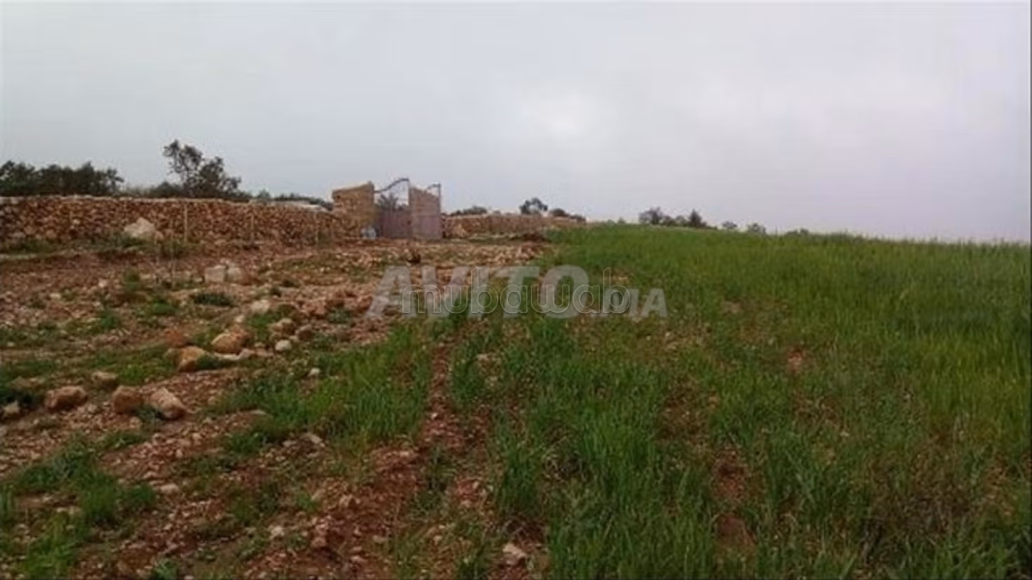 Farming farm titled 9 and a half hectares