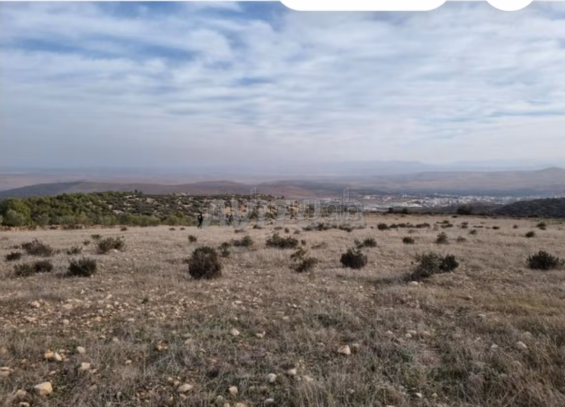 Farming farm titled 9 and a half hectares