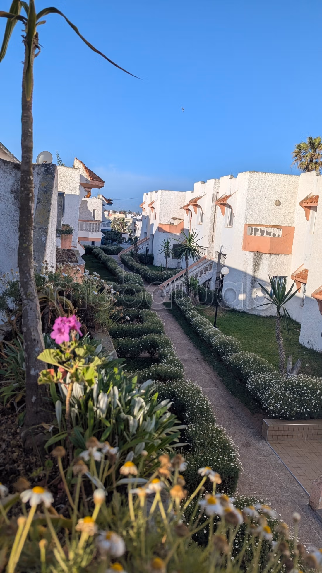 Proprietario affitta bel appartamento a Sidi Bouzid residenza Hacienda1