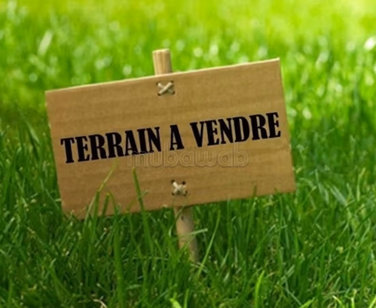 Terrain à vendre à sfax mahres 1,637 hectare
