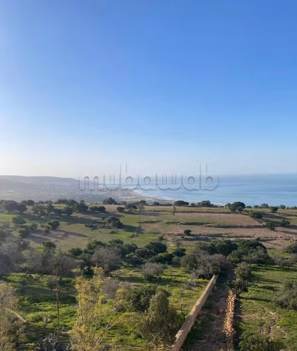 Terrain titré a vendre a taghazout 
ifraden