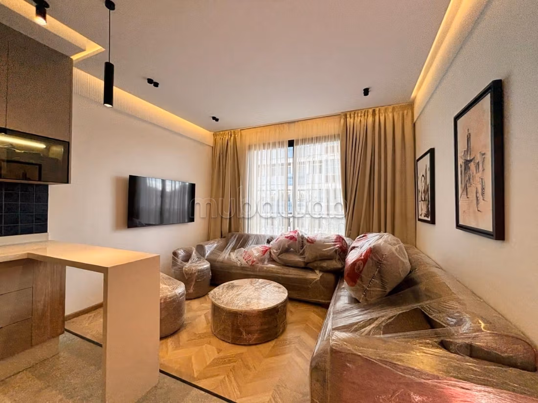 Super Studio Meublé à Louer– Quartier Palmiers — 3