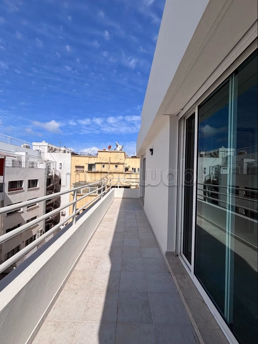 Appartement 200 m² lumineux avec terrasse — 3