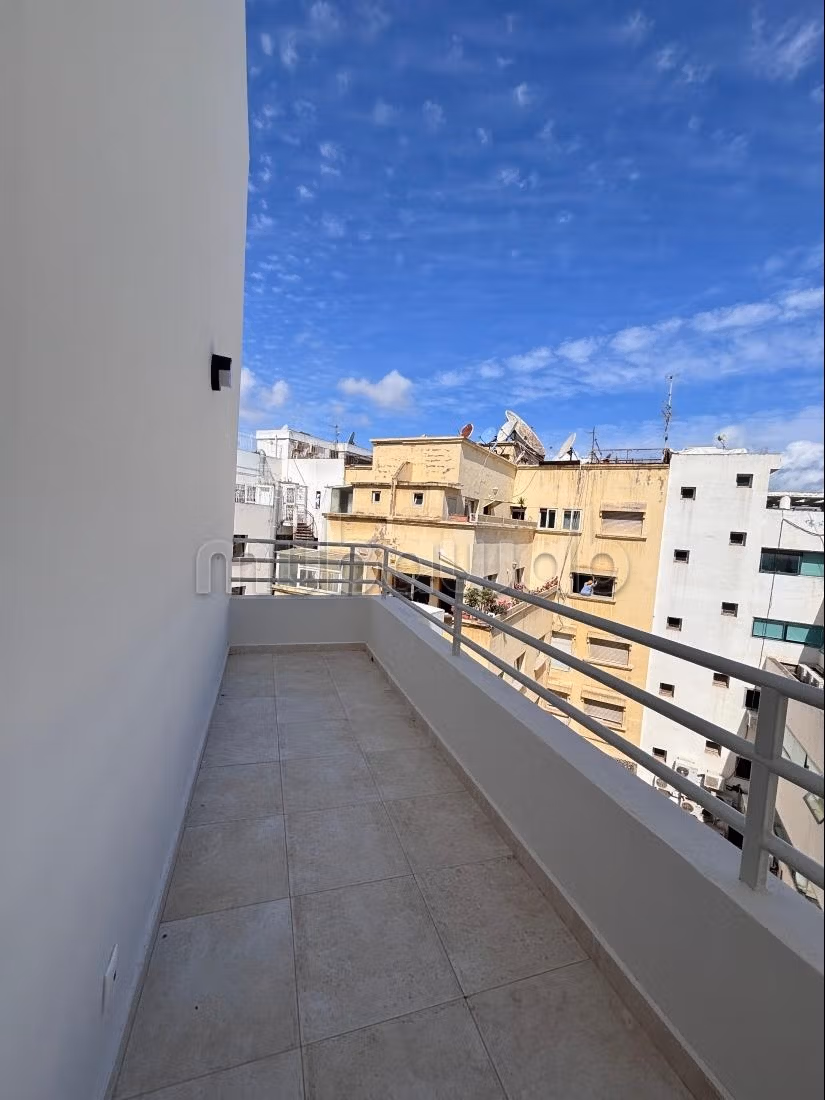 Appartement 200 m² lumineux avec terrasse — 4