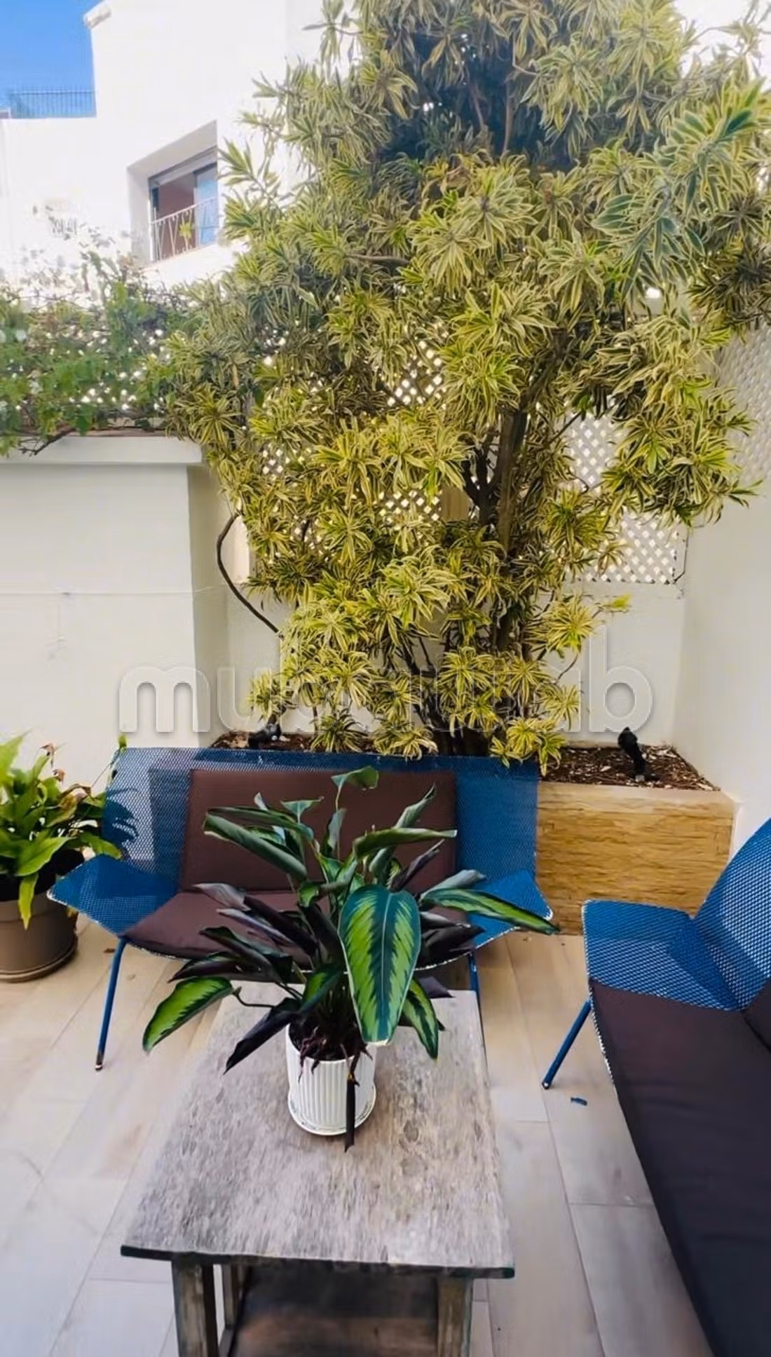 Bel appartement haut std à vendre à Racine Extension. 3 pièces. Places de stationnement et terrasse — 2