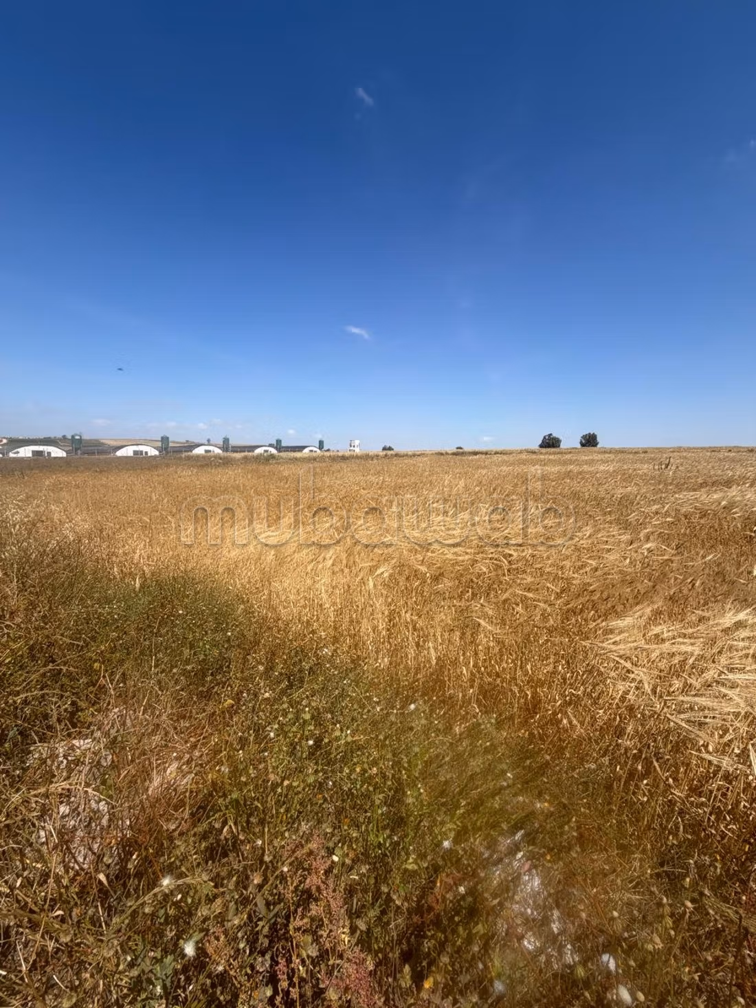 Terreno en venta en Anfa. Area 50000 m²