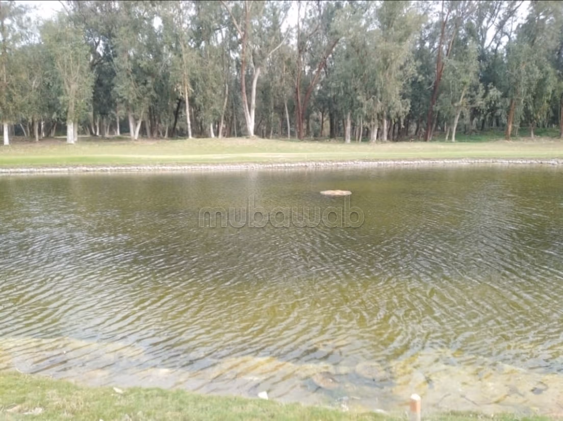 Appartement en vente à Royal golf 
el jadida — 3