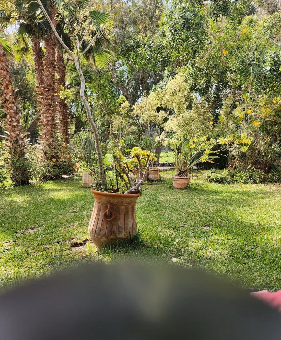 Appartement en vente à Royal golf 
el jadida — 4