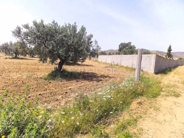 In vendita un terreno agricolo 5000m²