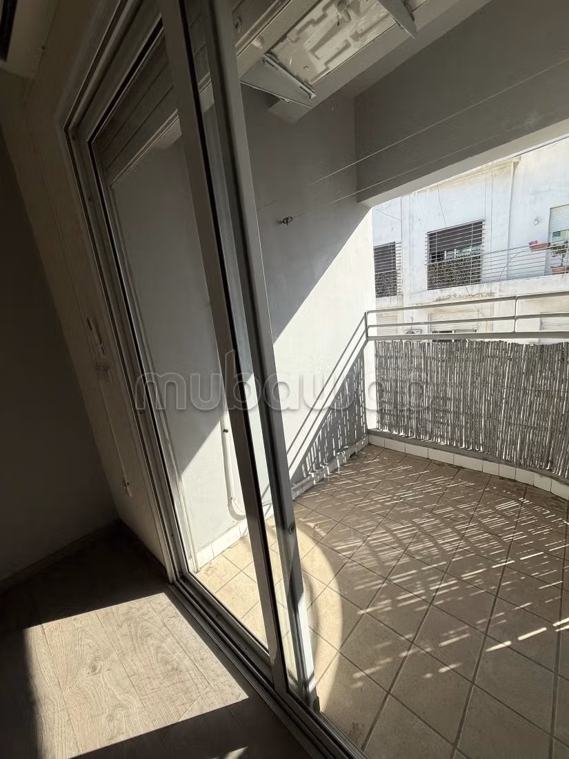 Very nice apartment for rent in Belvédère. 1 Room. Terrace and elevator