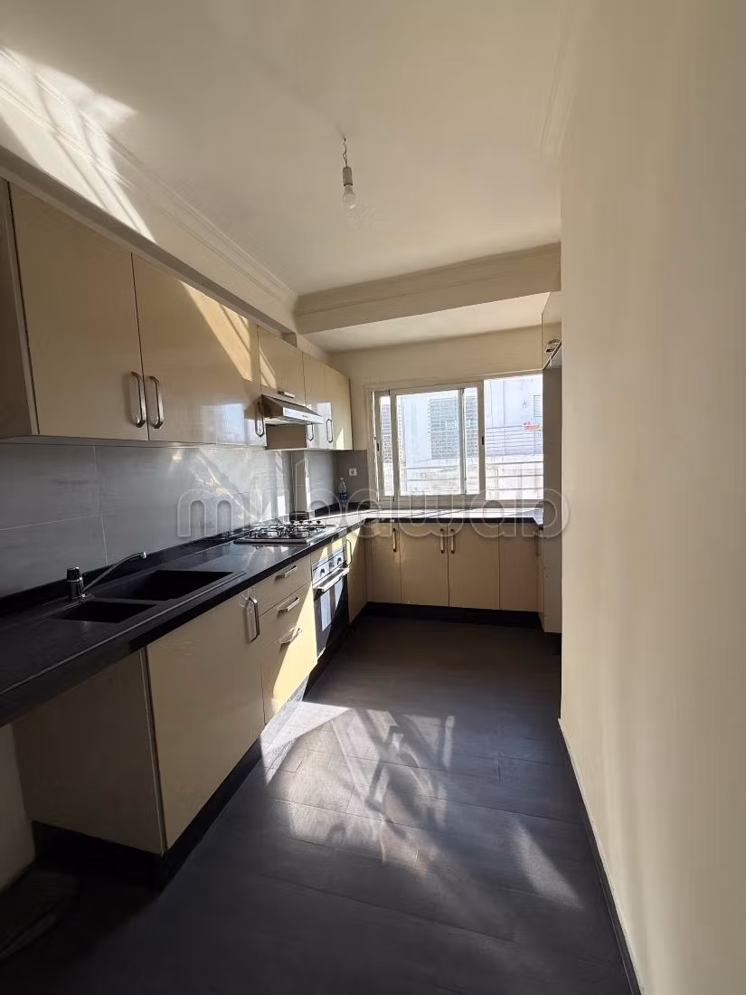 Very nice apartment for rent in Belvédère. 1 Room. Terrace and elevator