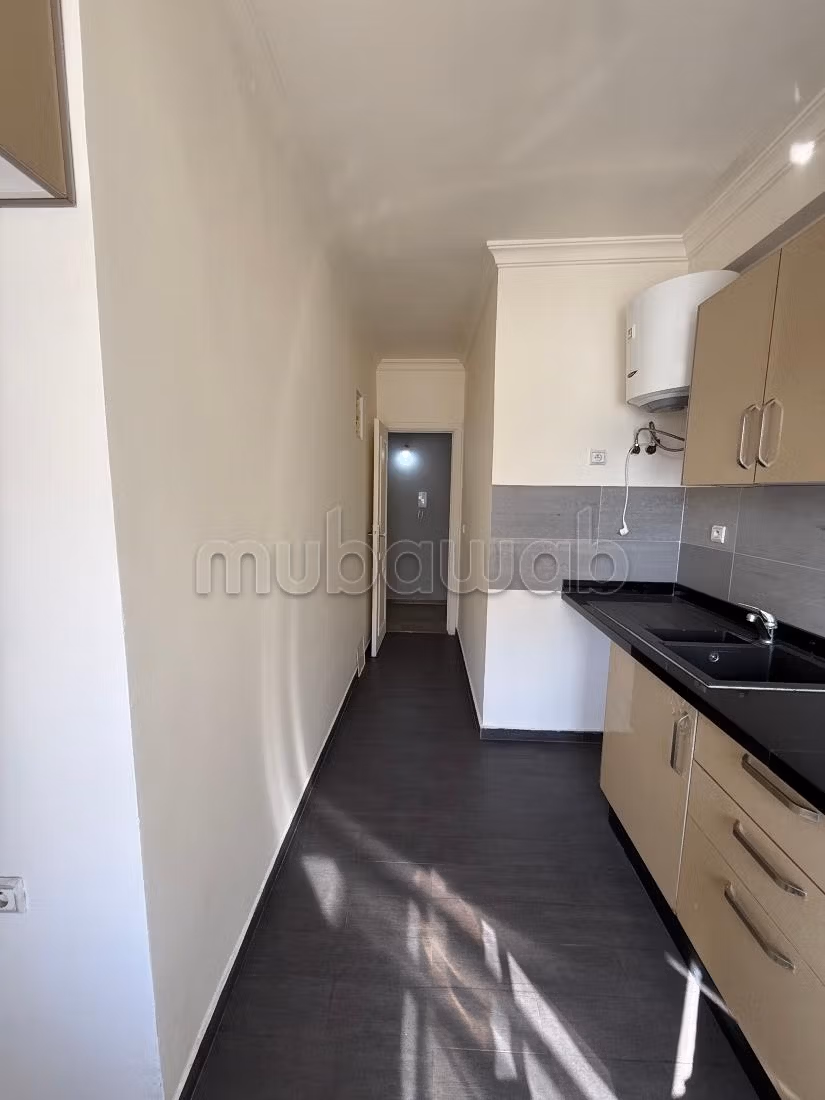 Very nice apartment for rent in Belvédère. 1 Room. Terrace and elevator